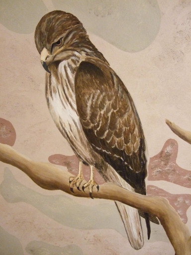Bird of Prey Mural by Mural artist Joanna Perry