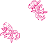 LA ROSE DES SABLES