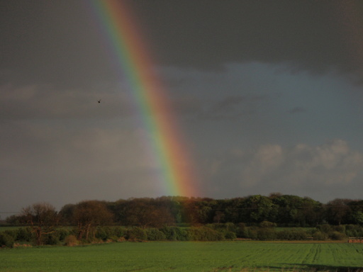 Crystalrainbow