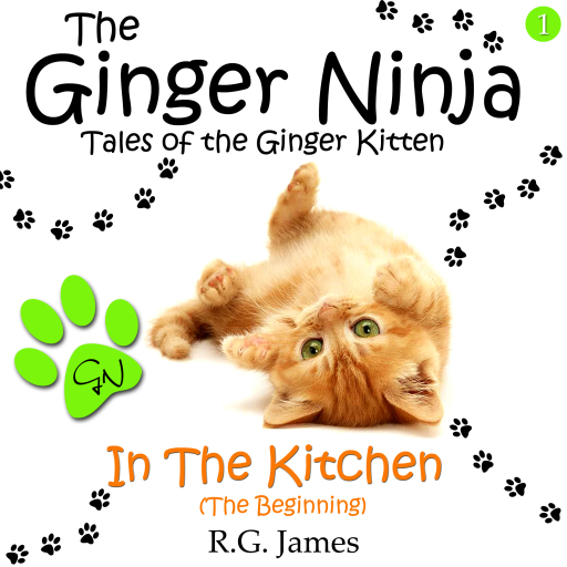 Ginger Ninja ... coming to your book store in march 2015!