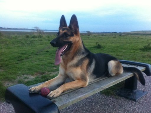 Got my ball and ready for some fun!