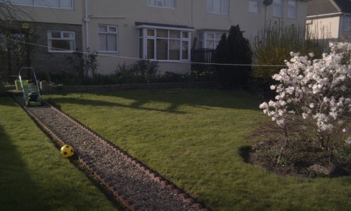 A garden I look after regularly