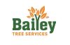 Bailey Tree Services