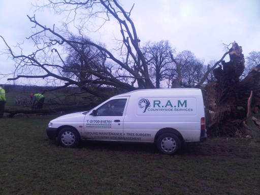 A Storm damaged parkland tree.