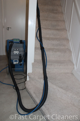 Carpet Cleaning Basingstoke