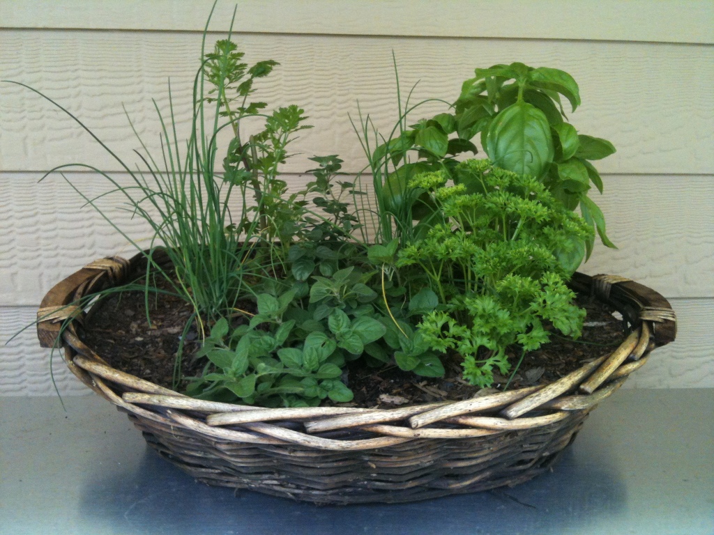 Living Herb Baskets 1 Potoroo Drive, Nerang, 4211