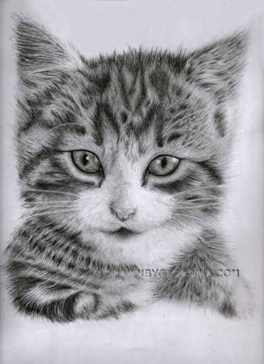Pet Portrait, DrawnByGeorgina, Portraits from Photographs