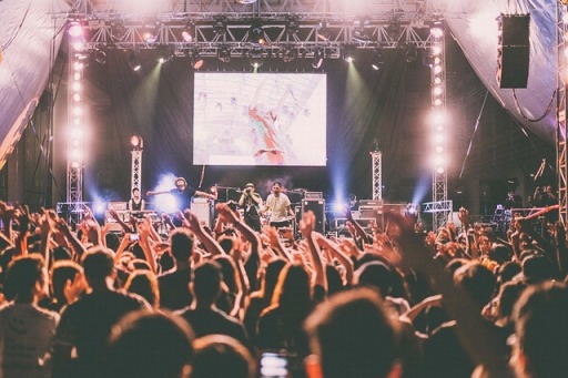 Festival Security
