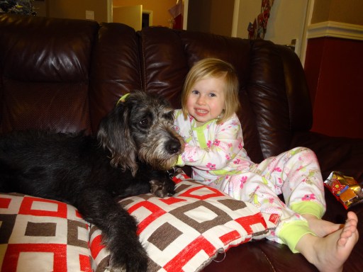 Meet Lola the Therapy Dog.