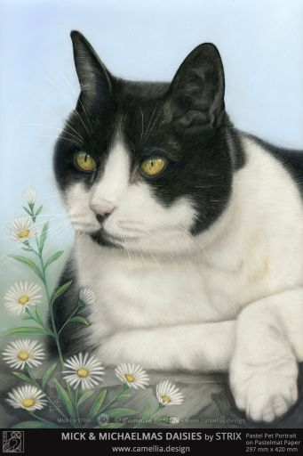 MICK & MICHAELMAS DAISIES by STRIX