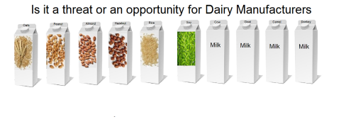 Non Dairy Milks