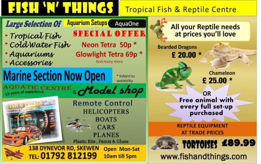 November special offers