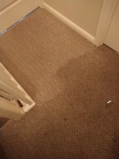 Upholstery Cleaning Luton