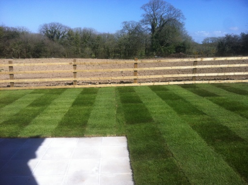 Field 4 bar fence