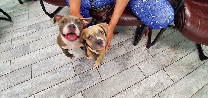 Pet Care Center of Apopka