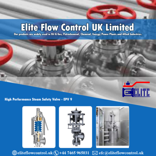 steam valves supplier