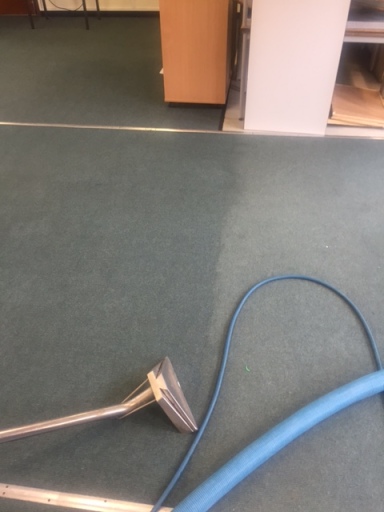 Carpet Cleaning