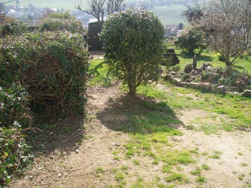 garden before soil preparation and laying of turf