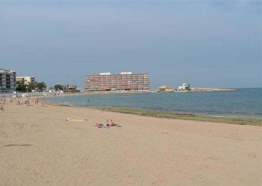 The beach