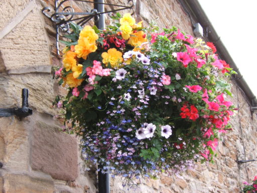one of our hanging baskets