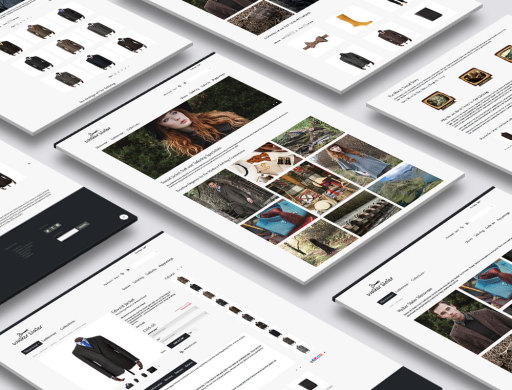 eCommerce Website Design
