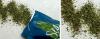 Seaspoon Edible Seaweed