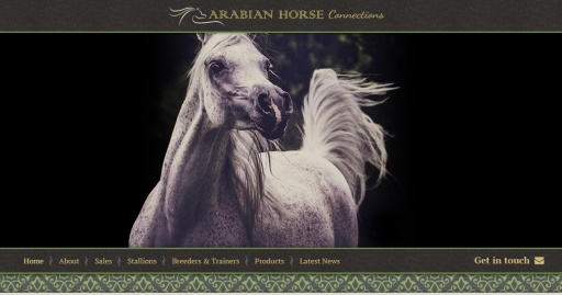Arabian Horses For Sale at www.arabianhorseconnections,com