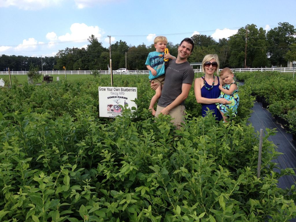 DiMeo Farms Blueberry Plants Nursery 3101 Nesco Road, Hammonton, NJ