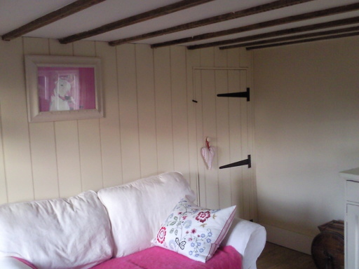 Under-stairs cupboard, bespoke panneling and door.
