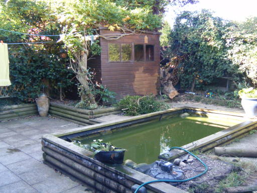 Garden before transformation (day1)