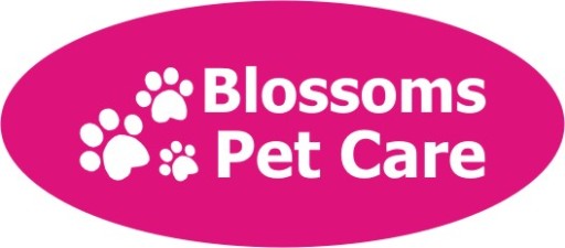 Dog walking, Dog Grooming, Pet and chicken visits