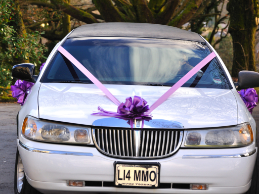 Wedding Photography Swansea Cardiff Carmarthen South Wales Budget Cheap Portrait Community Photograp
