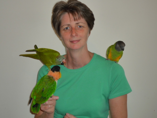 Ginny and the Parrots! Blue Crowned Conure, Black Headed Caique &amp; Senegal Parrot