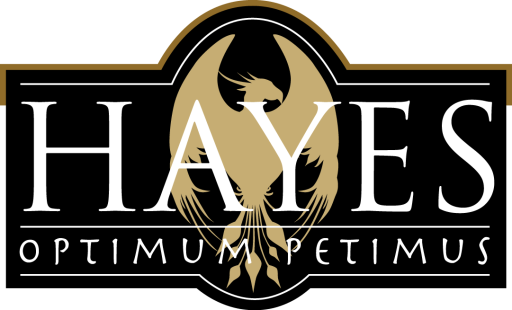 Hayes Specialising in the Sale and Letting of Country Period homes