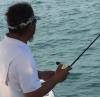 Tenya Fishing Kakis