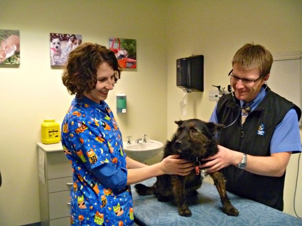 Tasmanian Animal Hospitals 2931 Clarence Street, Bellerive, 7018