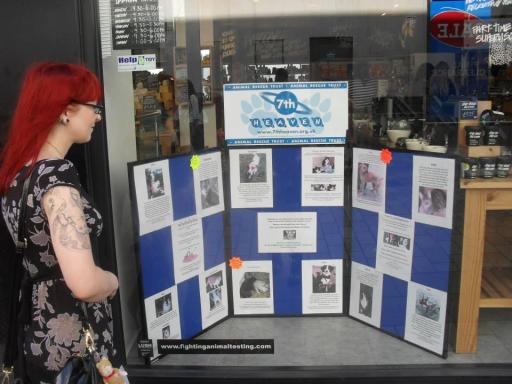 Advertising animals needing a home in a city centre shop window (Lush)