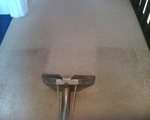 carpet cleaning cardiff