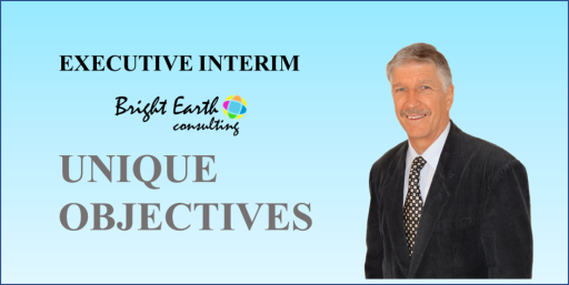 Executive Interim management