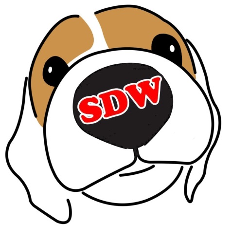 Staffordshire Dog Walking &amp; Pet Sitting Service