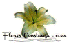 Flores Constanza
