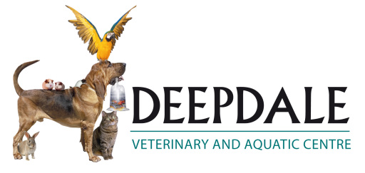 Deepdale Vet Pet Aquatic Centre Potton Sandy