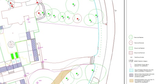 Tree Protection Plan