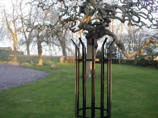 tree guards
