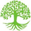 Beeches Tree Care Ltd