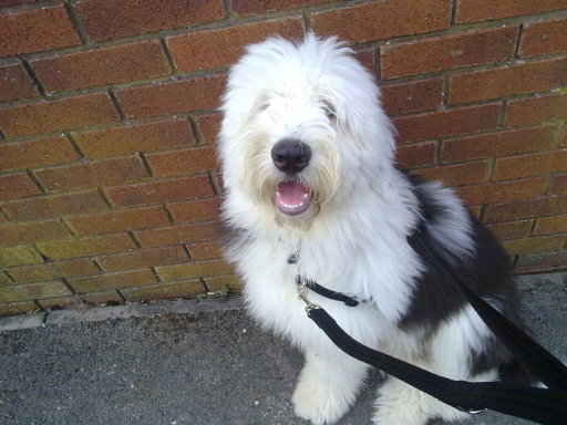 Looking forward to my walk