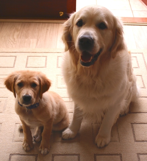 image0