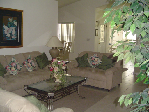 Lounge or family room