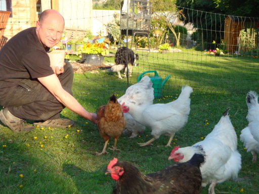 loverly chickens
