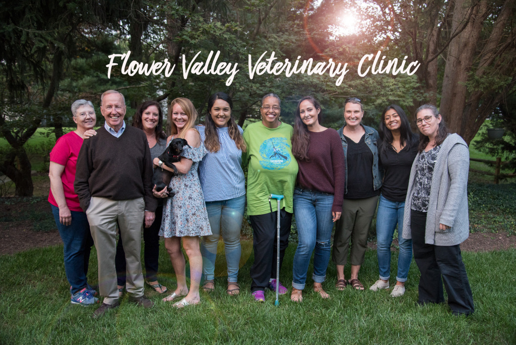 Flower Valley Veterinary Clinic 4201 Norbeck Road, Rockville, MD, 20853